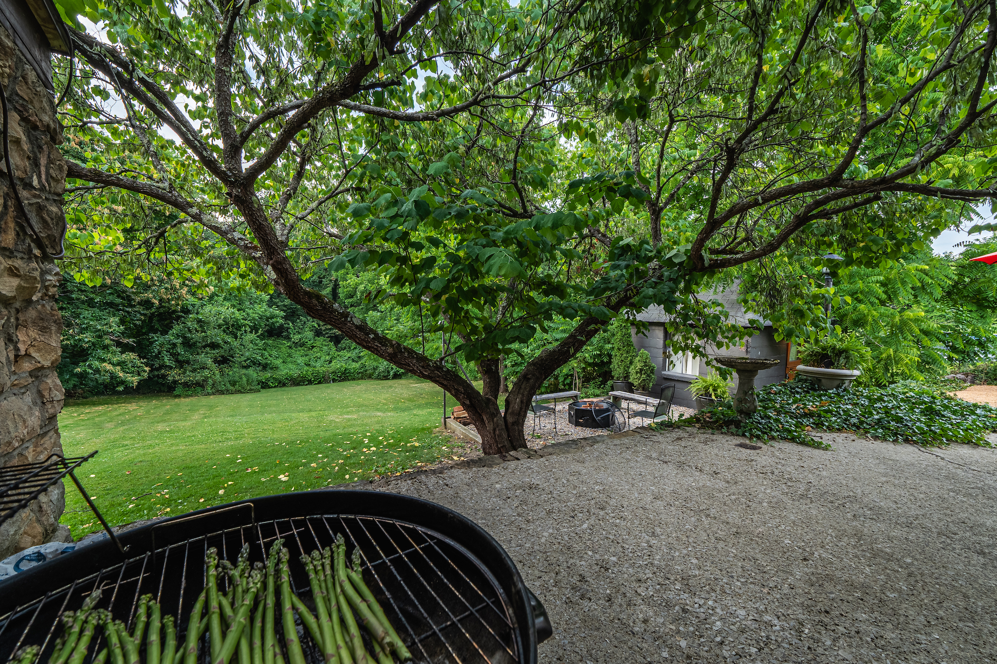 Delightful Downtown Bungalow — Backyard